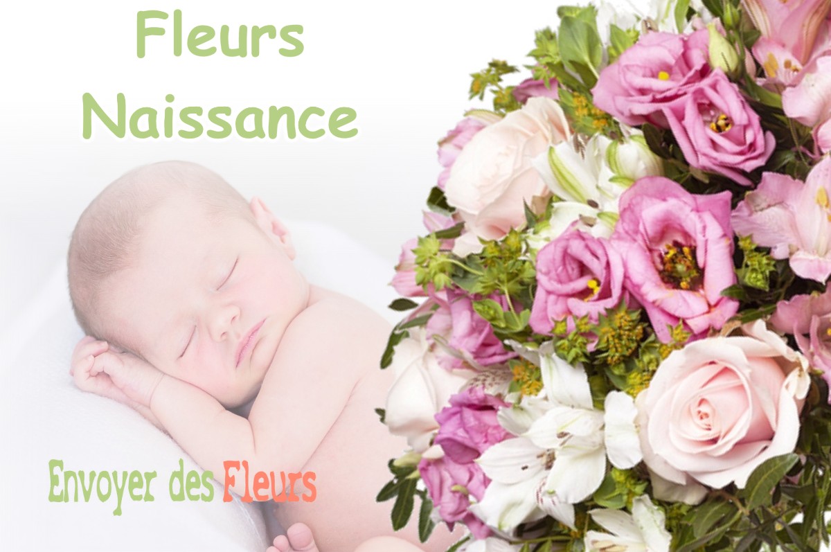 lIVRAISON FLEURS NAISSANCE à SAINT-MARTIN-DE-HINX